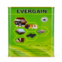 Keo Phun Chịu Nhiệt EVERGAIN Horse Glue 1990